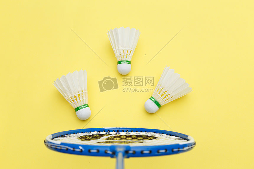 家队策略调 家队策略调