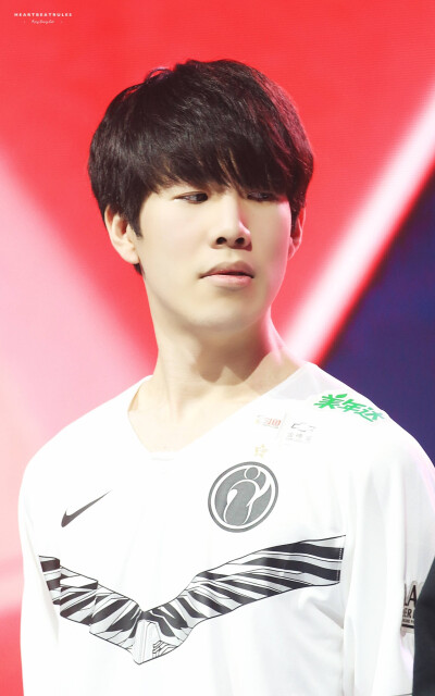 法忽视的象 法忽视的象